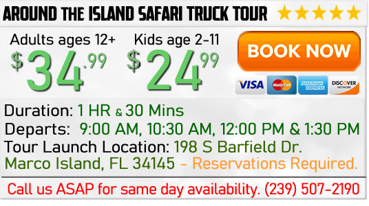 Book a Marco Island Safari Truck Tour