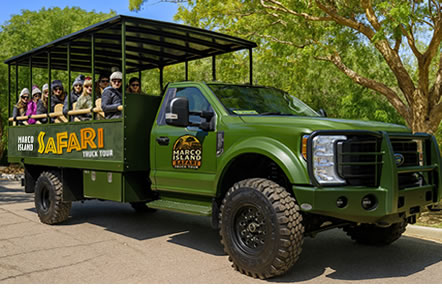 What clothing should I wear on the tour?