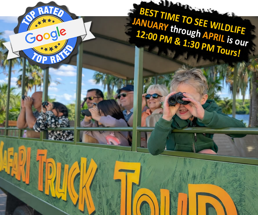 Around the Island Safari Truck Tour