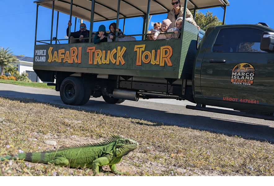 Marco Island Green Iguana Sightseeing Tour